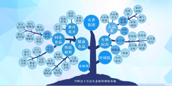 市委常委、組織部部長、統(tǒng)戰(zhàn)部部長龔紅果蒞臨天香生物調(diào)研